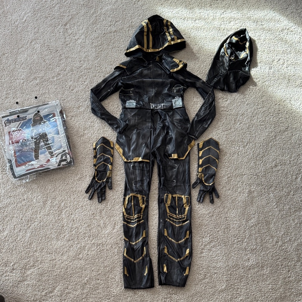 Ronin Avengers Halloween Costume